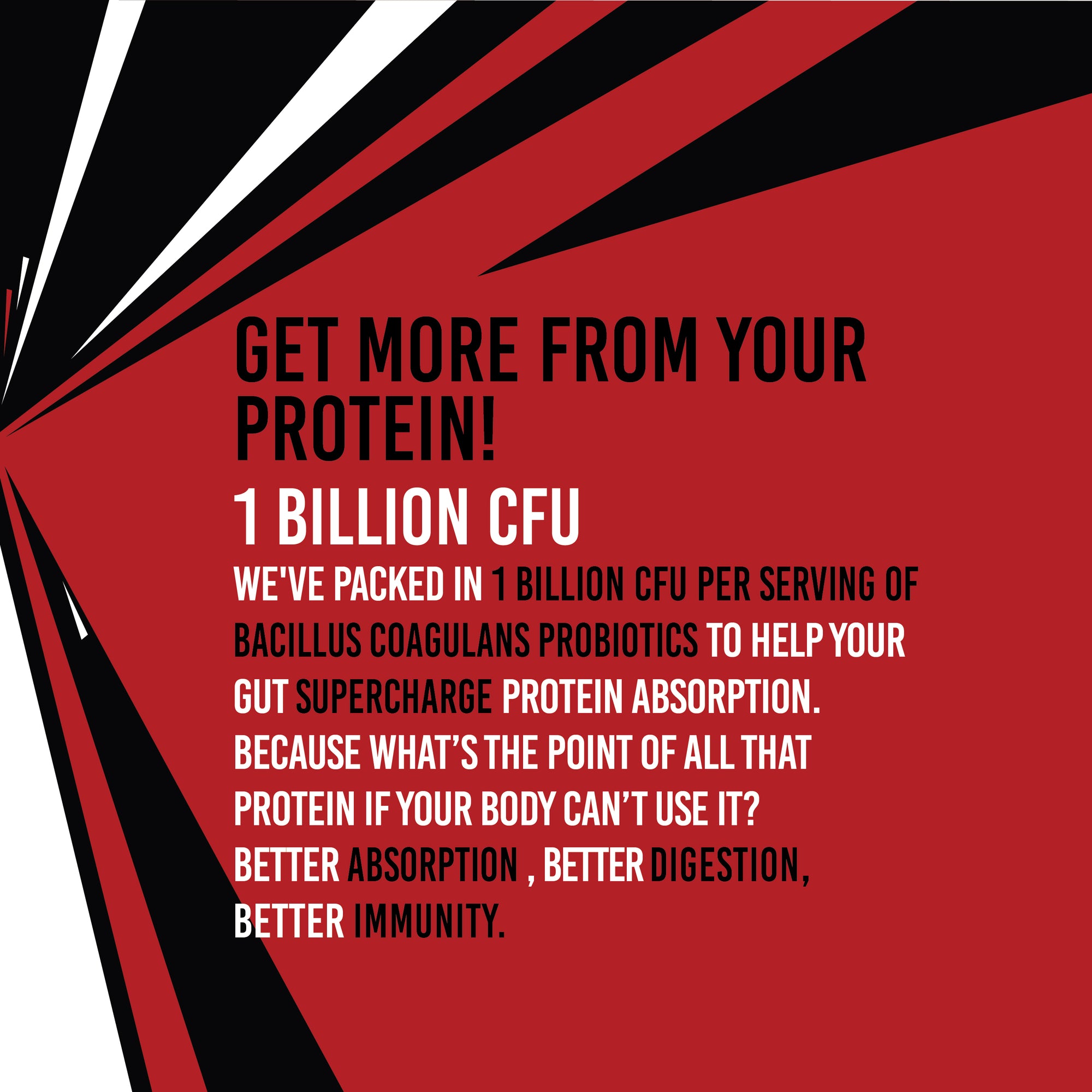 Protein Granola Tray